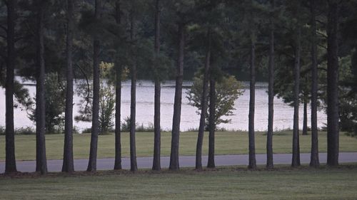 0 Dry Fork Dr, Winchester, TN, 37398 | Card Image