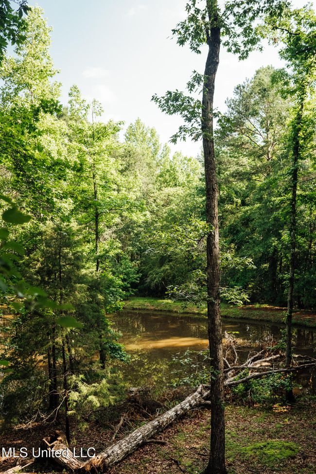 JG Puckett Cabin Pics-61 | Image 70