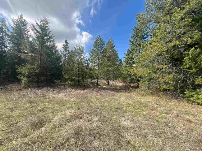 892 W Telephone Rd, Home with 0 bedrooms, 0 bathrooms and null parking in Newport WA | Image 5