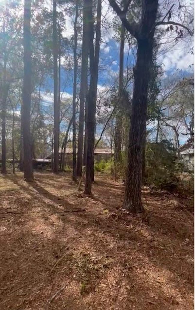0 Honeysuckle, Home with 0 bedrooms, 0 bathrooms and null parking in Livingston TX | Image 7
