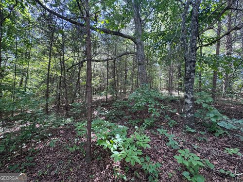 0 Sunshine Ridge Dr, Toccoa, GA, 30577 | Card Image