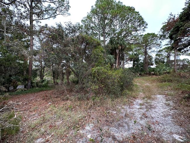 5 Lots Ingleside Pl, Home with 0 bedrooms, 0 bathrooms and null parking in Cedar Key FL | Image 5