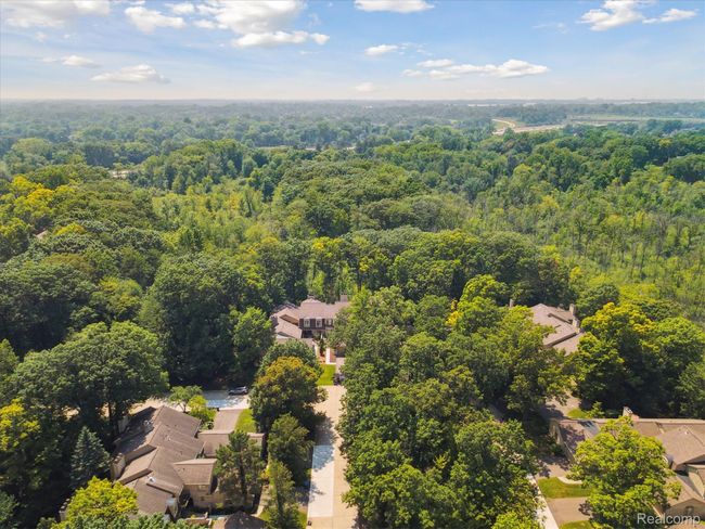 63-1105-Ivyglen-Cir-Bloomfield-Hills-MI-48304-WindowStill-13.jpg | Image 52