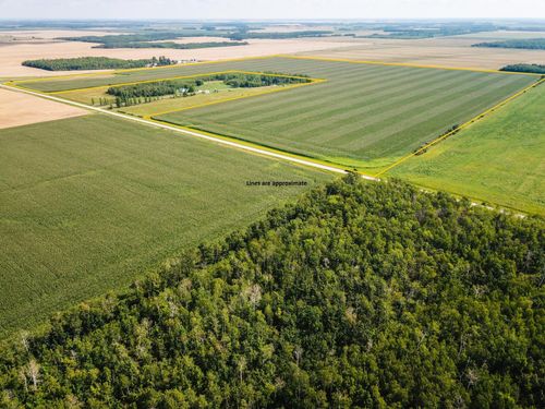 TBD 330th Ave, Badger, MN, 56714 | Card Image