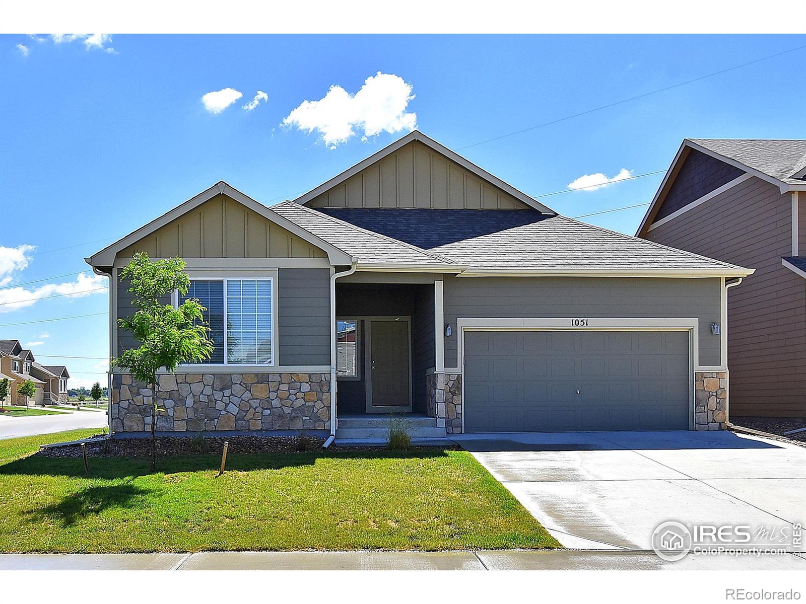 Ravi St, Windsor, CO 80550