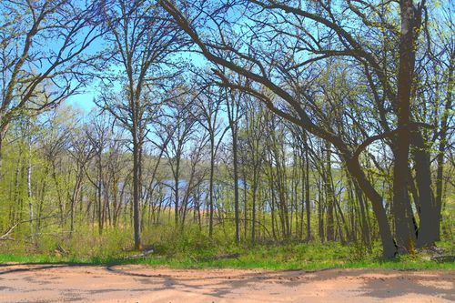 TBD Ottawa Dr, Browerville, MN, 56438 | Card Image