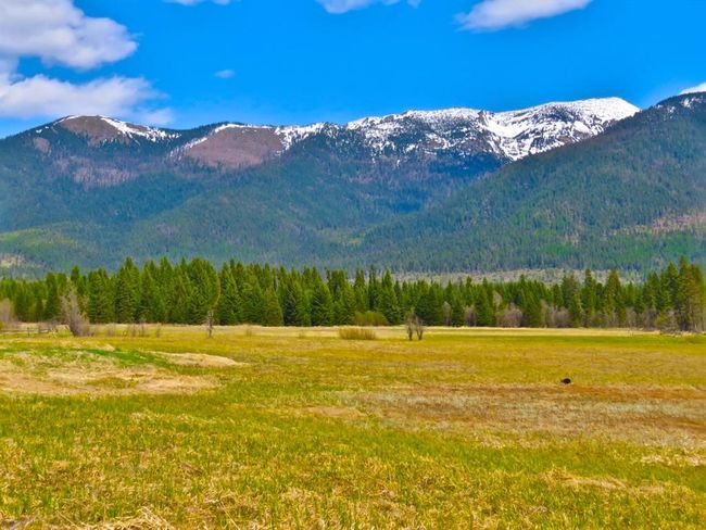 895 Mud Lake Rd, Home with 0 bedrooms, 0 bathrooms and null parking in Bigfork MT | Image 14