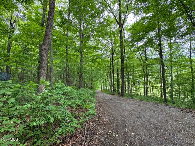 649 Sugar Run Rd, House other with 4 bedrooms, 3 bathrooms and null parking in Jonesville VA | Image 18