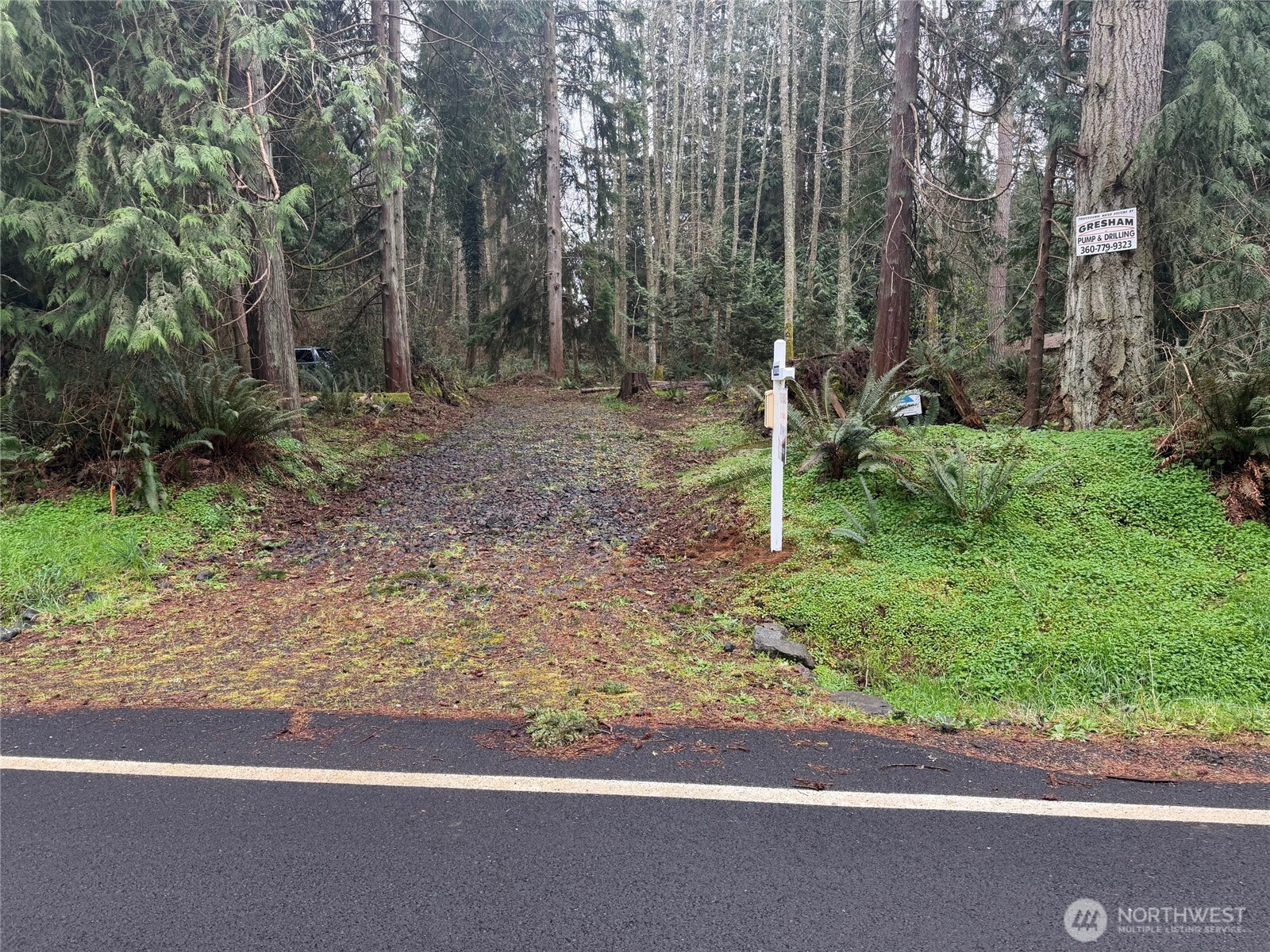Land in Hansville 3