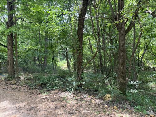 TBD Gum Springs Rd, Parthenon, AR, 72666 | Card Image