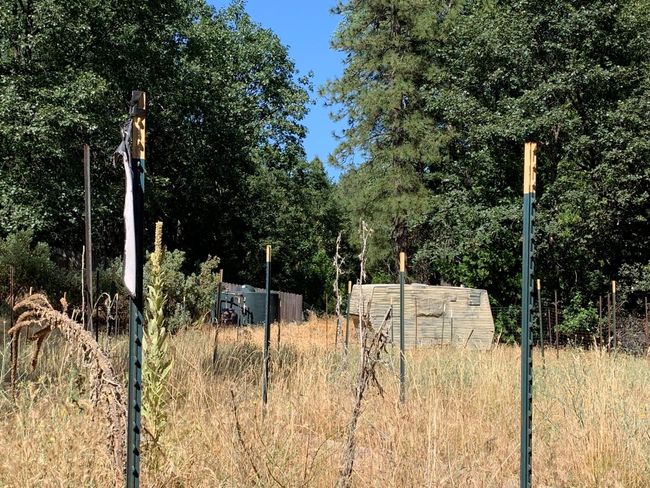 5727 Starkes Grade Rd, Home with 0 bedrooms, 0 bathrooms and null parking in Pollock Pines CA | Image 10