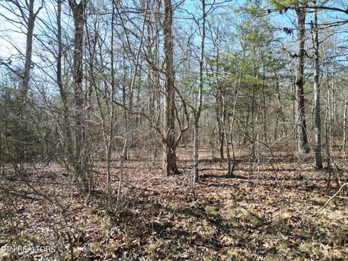 1130 Chanute Trl, Crossville, TN, 38572-3561 | Card Image