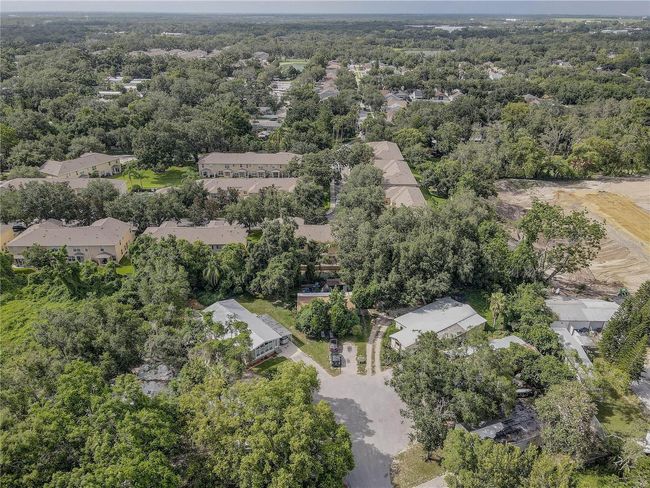 4591 Limerick Dr, Townhouse with 3 bedrooms, 3 bathrooms and null parking in TAMPA FL | Image 51