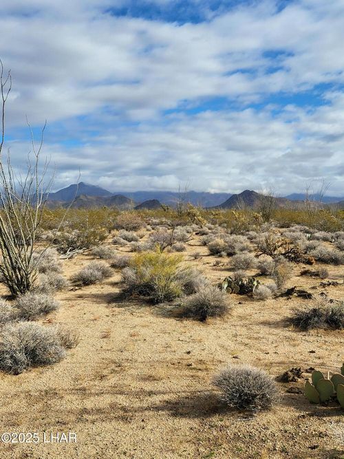 00 S Billy The Kid Rd, Yucca, AZ, 86438 | Card Image