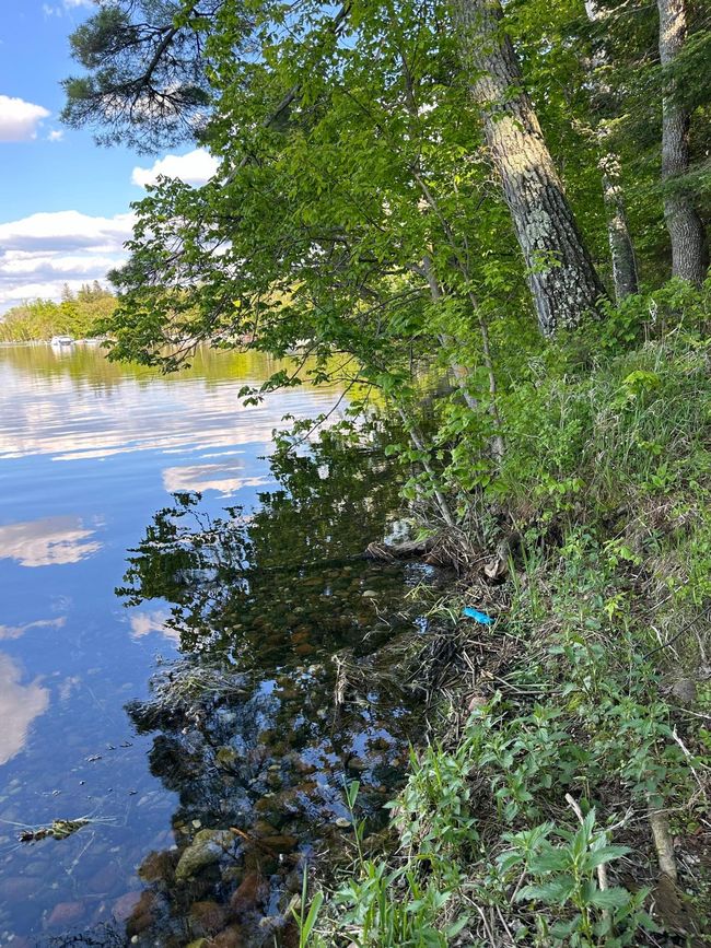 East Shoreline.jpg | Image 8