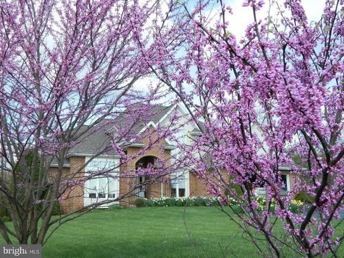 564 Peace Pipe Ln, HEDGESVILLE, WV, 25427-6661 | Card Image