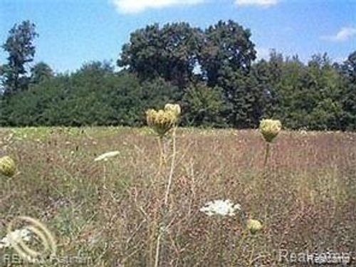 lot 13 Outback Trail, Putnam Twp, MI, 48169 | Card Image