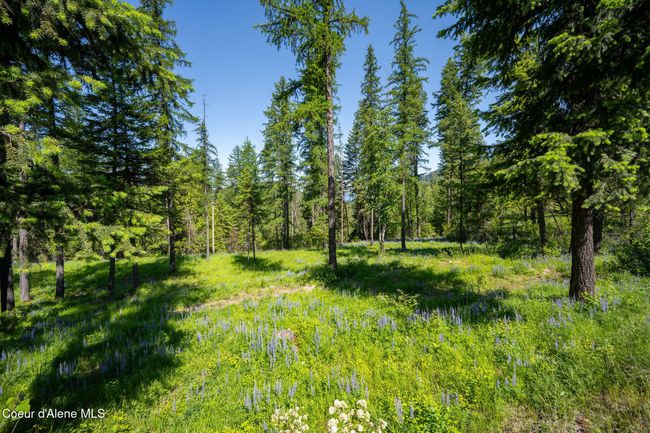 238 Black Sheep Rd, Home with 0 bedrooms, 0 bathrooms and null parking in Hope ID | Image 40
