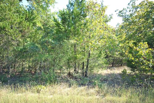 Lot 76 Lot 76 Lcr 894 Drive, Jewett, TX, 75846 | Card Image