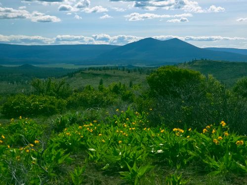 200-0 Fur Trapper Dr, Chiloquin, OR, 97624 | Card Image