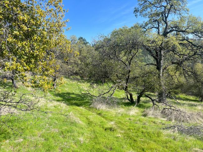 18907 Shake Ridge Rd, Home with 0 bedrooms, 0 bathrooms and null parking in Sutter Creek CA | Image 12
