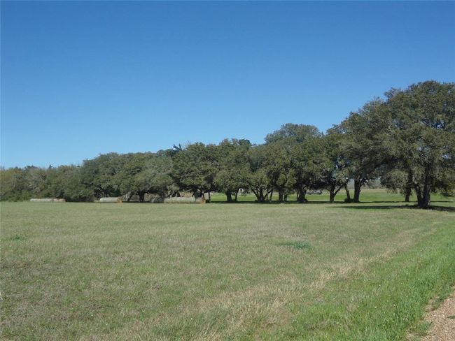 1931 Bruno Rd, Home with 4 bedrooms, 3 bathrooms and null parking in Schulenburg TX | Image 26
