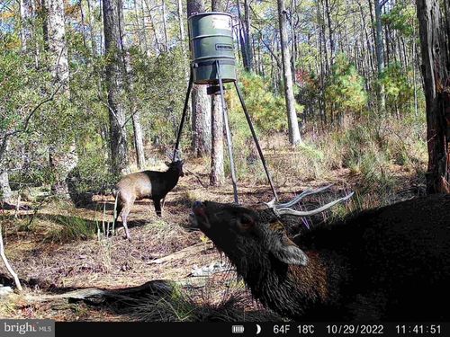 0 Robbins Rd, CHURCH CREEK, MD, 21622 | Card Image