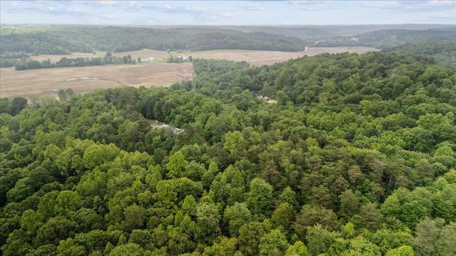 Aerial View | Image 37