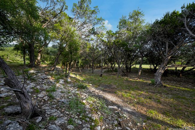 543 Narrows Rd, Home with 0 bedrooms, 0 bathrooms and null parking in Blanco TX | Image 20