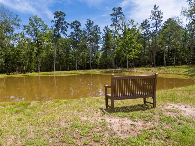 110 Coyote Run, Home with 0 bedrooms, 0 bathrooms and null parking in New Waverly TX | Image 6