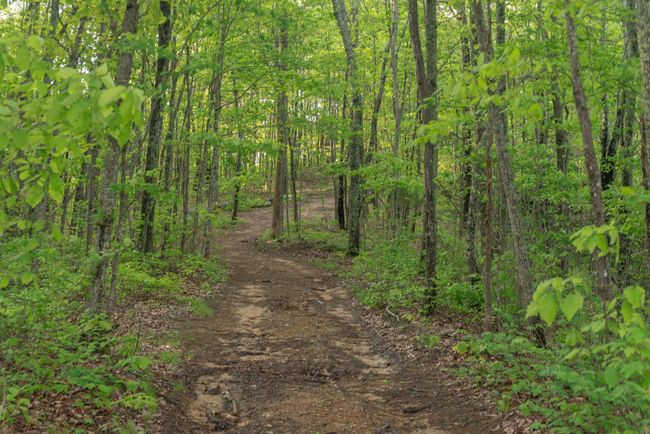 0 Middle Ridge Rd, Home with 0 bedrooms, 0 bathrooms and null parking in Beersheba Springs TN | Image 4