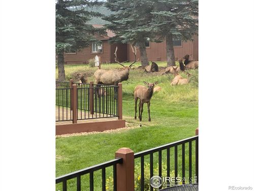 2-1422 Matthew Cir, Estes Park, CO, 80517-7420 | Card Image