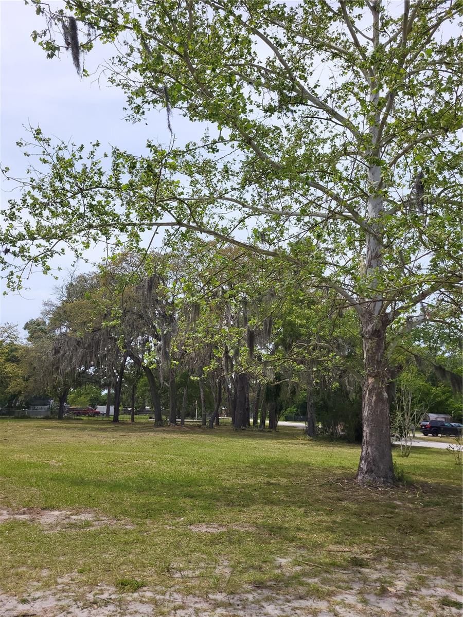 Kent St, Hudson, FL 34669