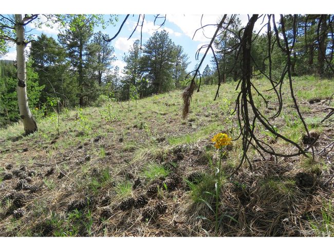 0 Come And See Mine, Home with 0 bedrooms, 0 bathrooms and null parking in Central City CO | Image 8
