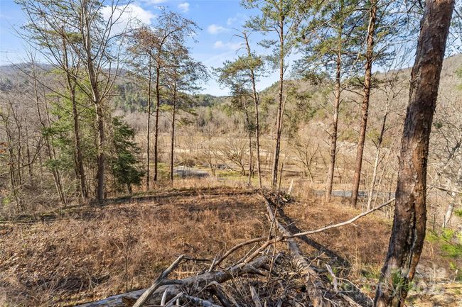 47 - 21 River Park Way, Home with 0 bedrooms, 0 bathrooms and null parking in Marshall NC | Image 10
