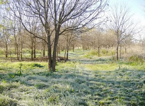 11913 Mcangus Rd, Del Valle, TX, 78617-5945 | Card Image