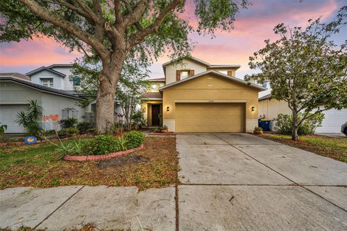 17539 Balmaha Dr, Land O Lakes, FL, 34638-7848 | Card Image