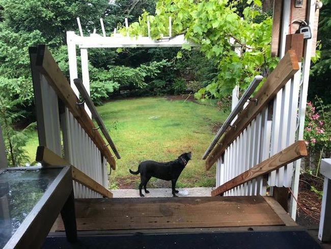 2510 Us Highway 199, Home with 2 bedrooms, 1 bathrooms and 1 parking in Crescent City CA | Image 5