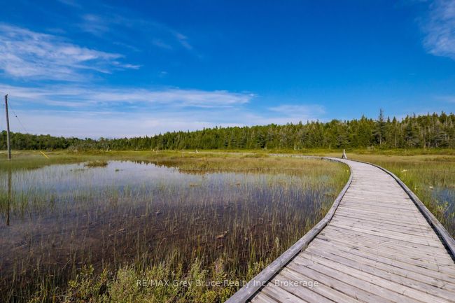 12 Tamarac Rd, Home with 0 bedrooms, 0 bathrooms and null parking in South Bruce Peninsula ON | Image 4