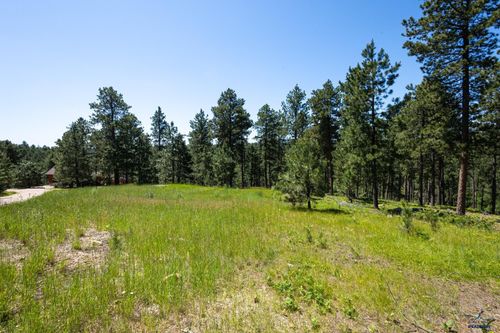 lot-16-cuba-street-Lot 16 Other, Deadwood, SD, 57732 | Card Image
