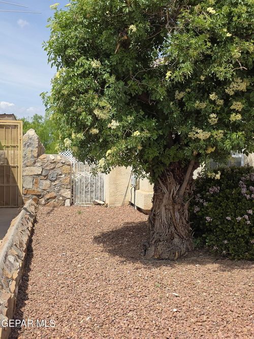 7457 Plaza Taurina Drive, El Paso, TX, 79912 | Card Image