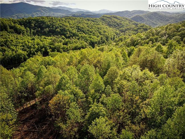Aerial "Summer" | Image 6