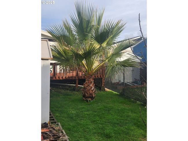 631 2 Nd Ave, House other with 3 bedrooms, 2 bathrooms and null parking in Powers OR | Image 25