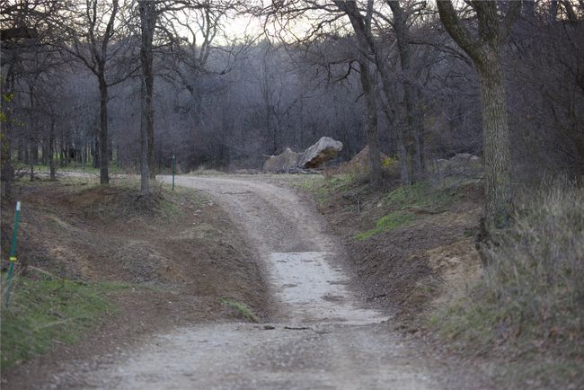 View of road | Image 8