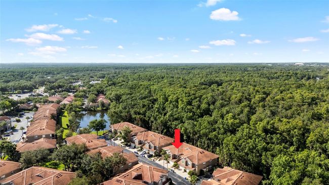 4920 Anniston Cir, Townhouse with 3 bedrooms, 3 bathrooms and null parking in TAMPA FL | Image 43