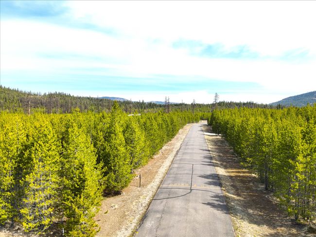 135 Wright Way, Home with 0 bedrooms, 0 bathrooms and null parking in Marion MT | Image 12