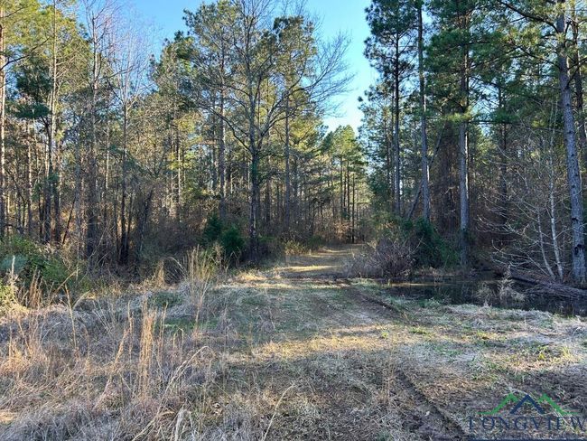 TBD 26.5 ac Boggy Rd., Home with 0 bedrooms, 0 bathrooms and null parking in Waskom TX | Image 7