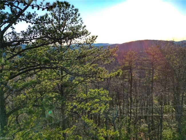 000 Gowings Knob Rd, Home with 0 bedrooms, 0 bathrooms and null parking in Mc Grady NC | Image 6