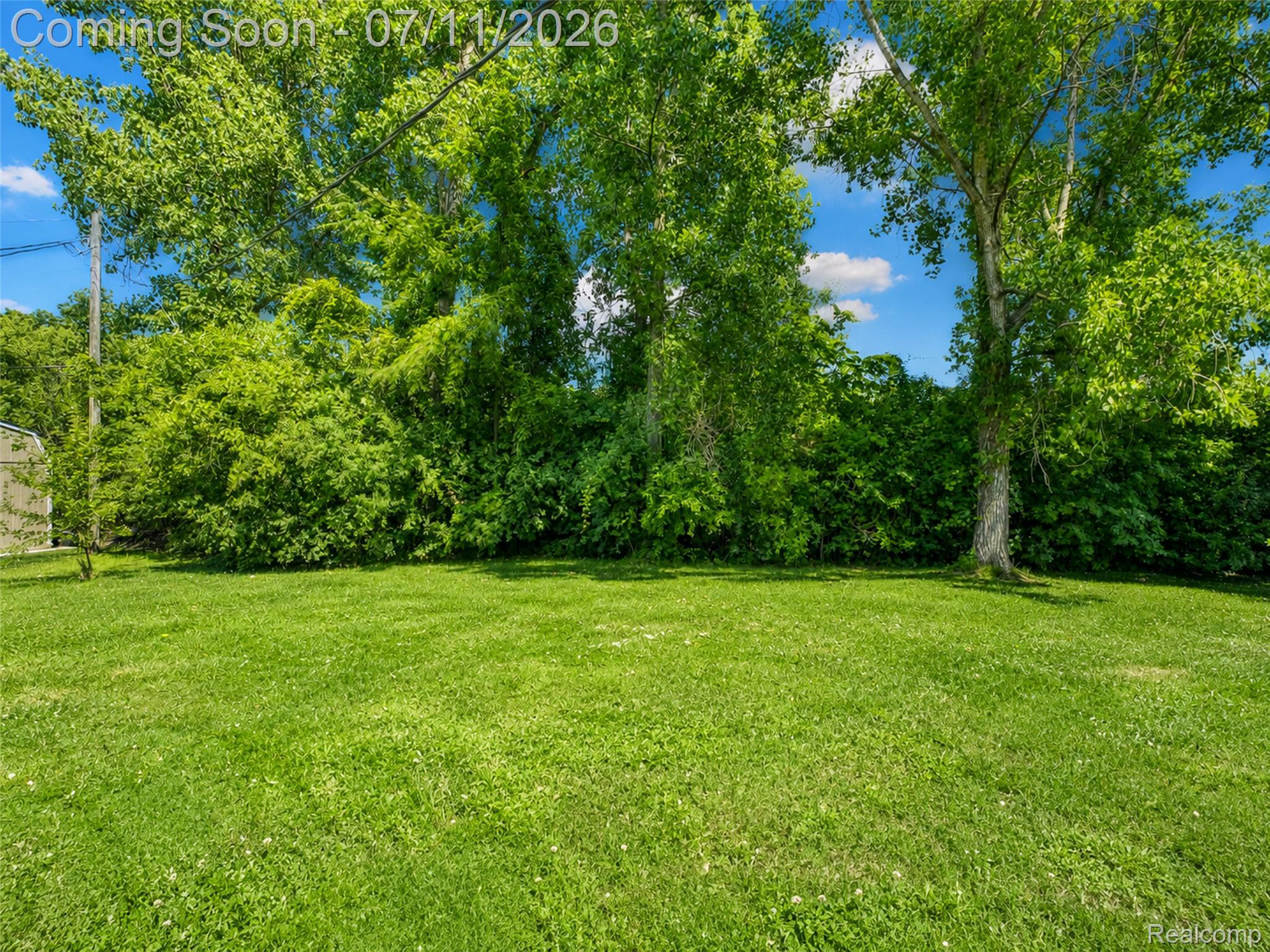 Residential in Van Buren Charter Township 5