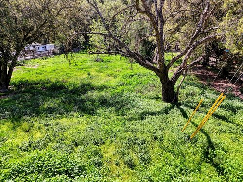 28622 Modjeska Grade Rd, Silverado, CA, 92676-9738 | Card Image